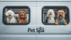 MOBILE PET SPA COURSE