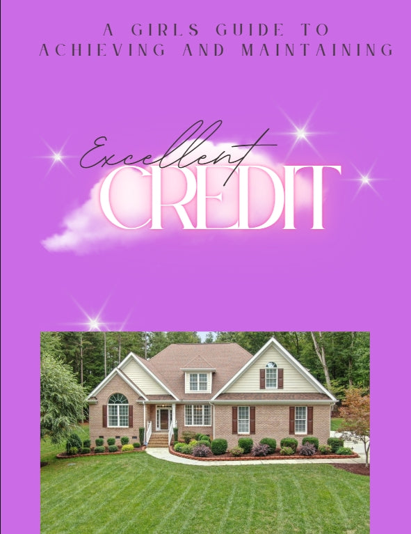 CREDIT REPAIR EBOOK Private Label Rights (PLR):
