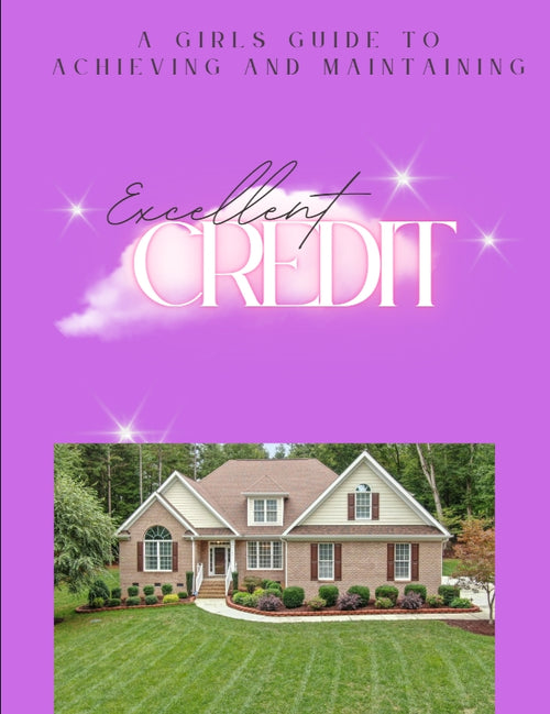 CREDIT REPAIR EBOOK Private Label Rights (PLR):