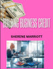 BUILDING BUSINESS CREDIT EBOOK Private Label Rights (PLR):