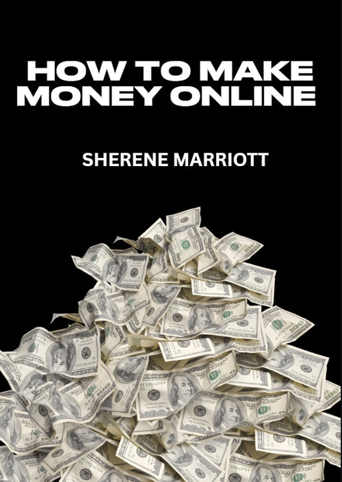 HOW TO MAKE MONEY ONLINE EBOOK Private Label Rights (PLR):
